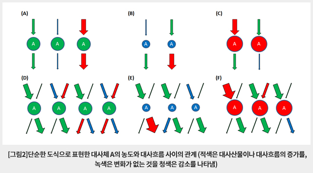 단순한 도식으로 표현한 대사체 A의 농도와 대사흐름 사이의 관계 (적색은 대사산물이나 대사흐름의 증가를, 녹색은 변화가 없는 것을 청색은 감소를 나타냄)